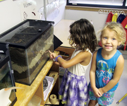 Preschool children play dirty with worms